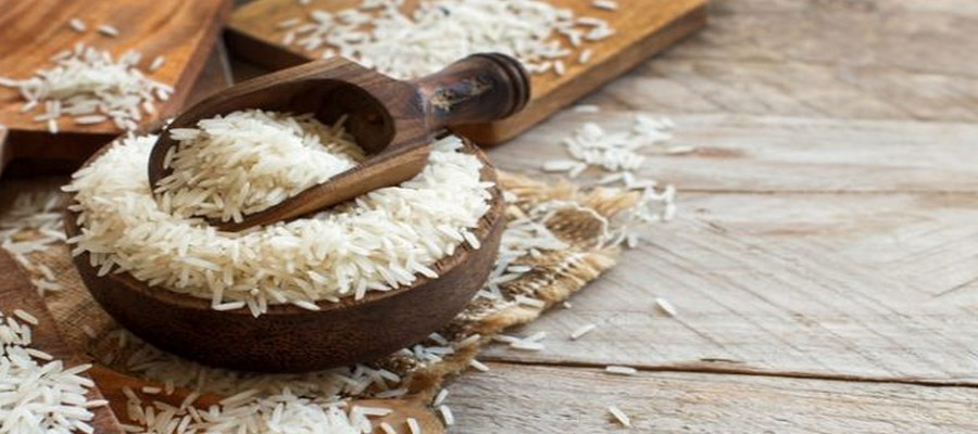 مقایسه برنج‌های «عنبربو» و «معطر محلی»